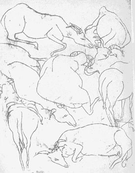 Pecore al meriggio, 1956