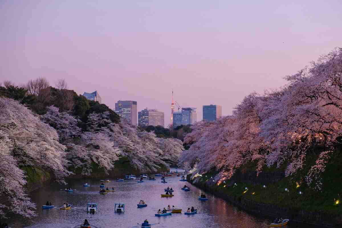 Tokyo: caos o calma?