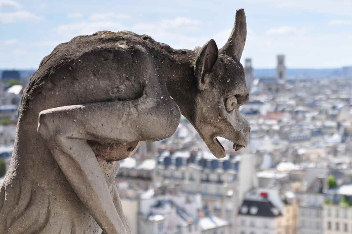 Veduta dalla cattedrale di Notre Dame